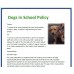 Therapy Dog School Guide